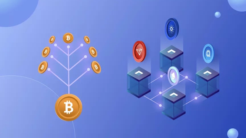 Staking vs. Yield Farming: Which to Choose?